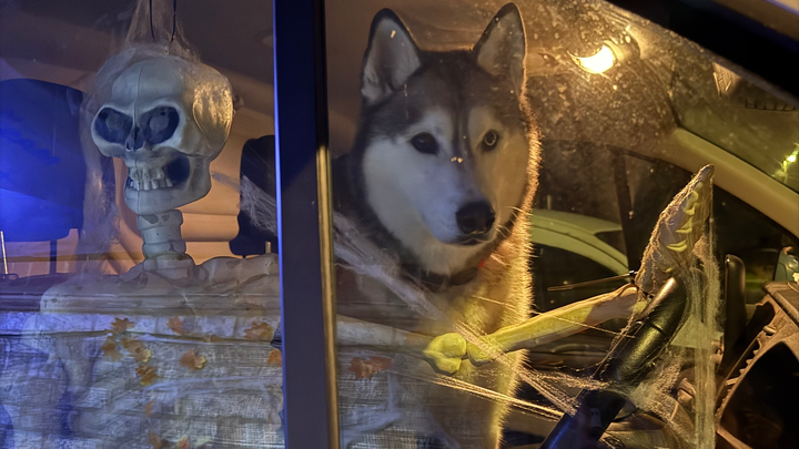 Halloween House campaign photo, 1 of 3