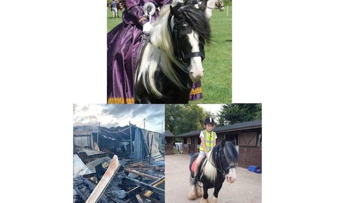 Main fundraiser photo