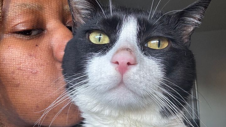 Help My Cat Get Lifesaving Care campaign photo, 1 of 6