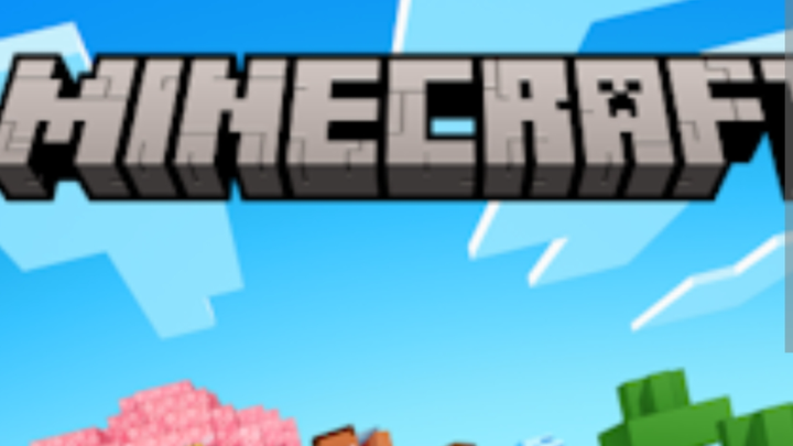 Buying my friend minecraft campaign photo, 1 of 3
