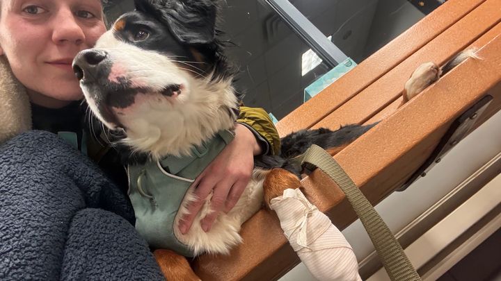 Getting back on track and Vet Bills campaign photo, 1 of 6