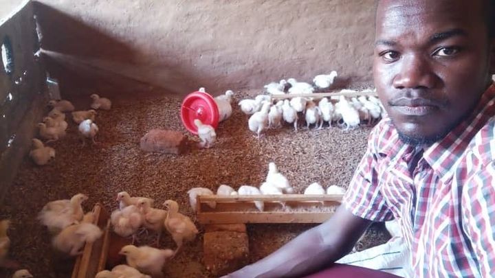 Help Us Start a Layers Chicken Farm to Feed, Empower Orphans campaign photo, 1 of 4