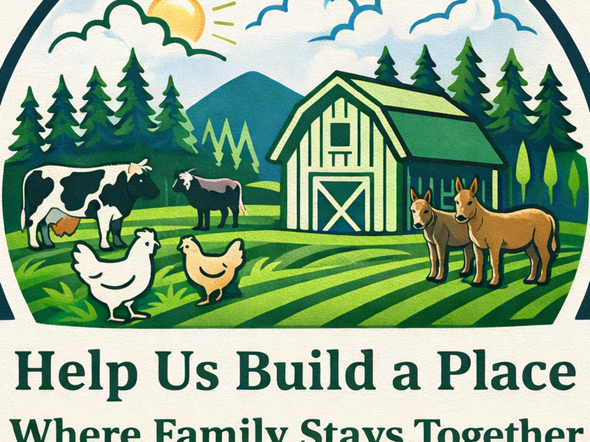 Fundraiser’s main image