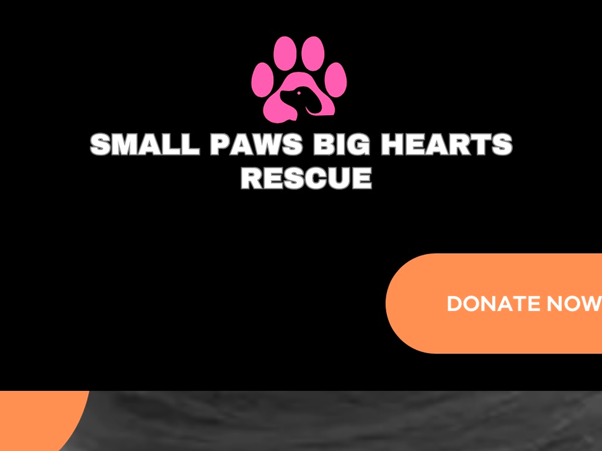 Fundraiser’s main image