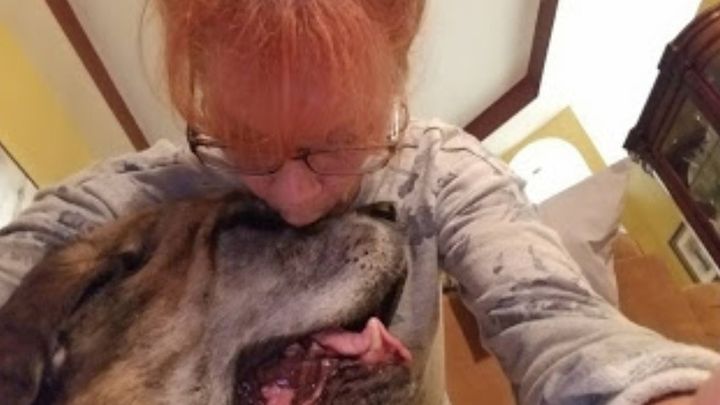 Help Patty and her ill furbaby campaign photo, 1 of 3