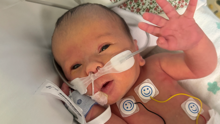 Baby Boy with HLHS – Medical & Travel Fund ♥️ campaign photo, 1 of 5