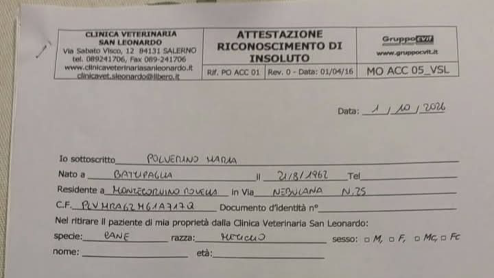 Kampagnen-Foto für Spese veterinaria cuccioli, 1 von 8