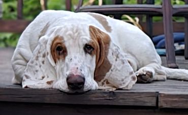 Erik Kelly Ghirarduzzi