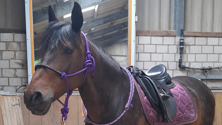 Hoofdafbeelding inzamelingsactie