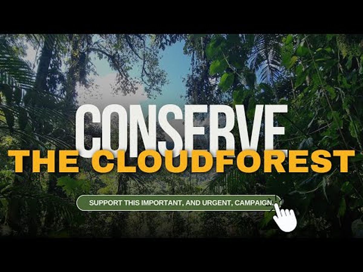 Fundraiser’s main image