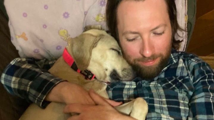 Help Cheddar Walk Again After Tragedy campaign photo, 1 of 8