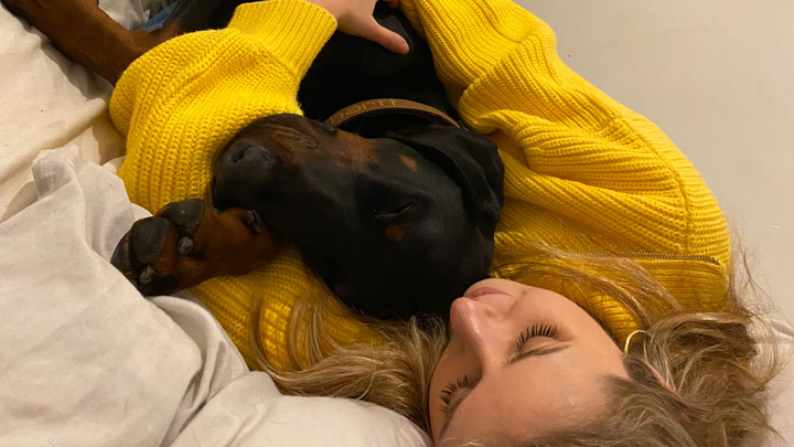 Help needed for urgent medical care for our beautiful Bruno campaign photo, 1 of 7