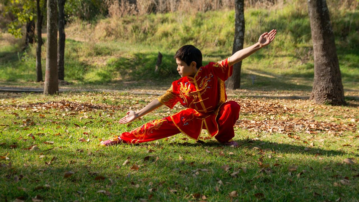 Cumplir mi sueño de ir al mundial de wushu en china campaign photo, 1 of 5