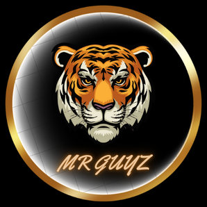 Mr Guyz
