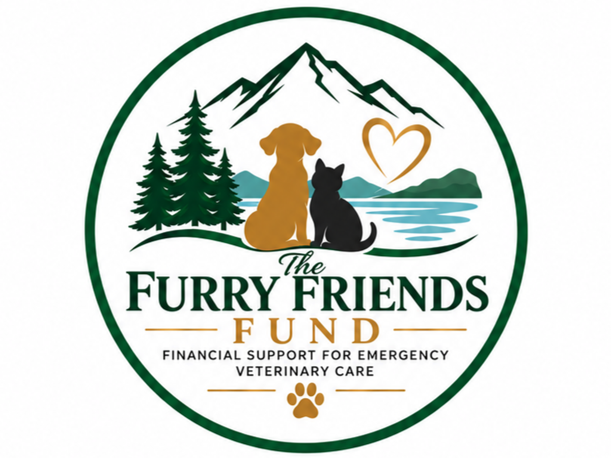 Fundraiser’s main image