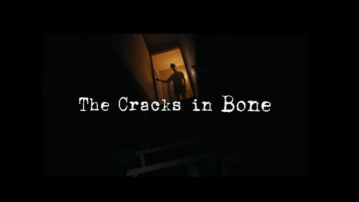 The Cracks in Bone campaign photo, 1 of 4