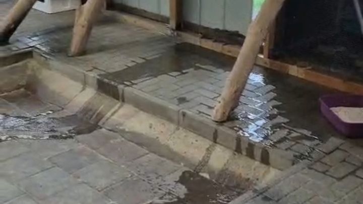 Hauptbild der Spendenaktion