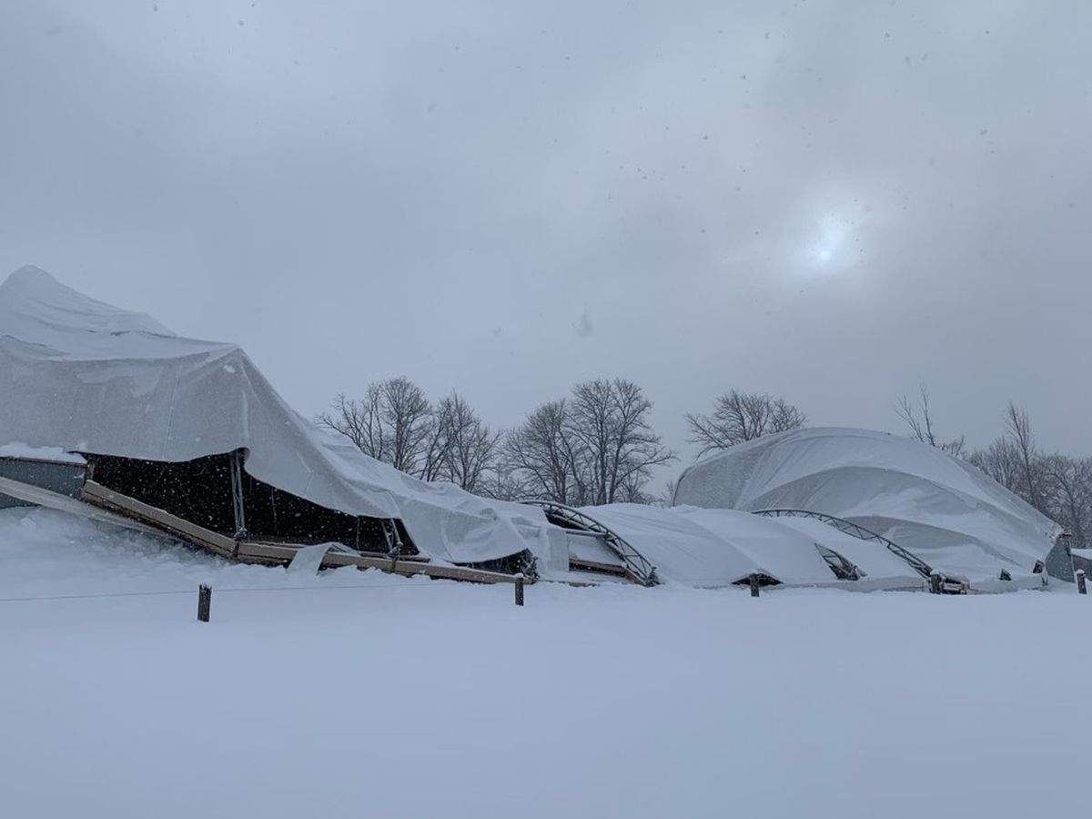 Let’s Help Kimber Valley Farms Rebuild campaign photo, 1 of 8