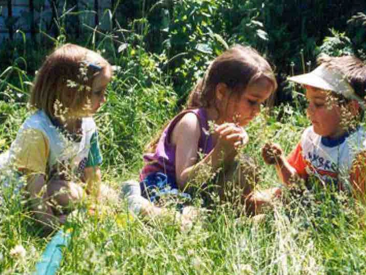 Keep Blackwell Safe campaign photo, 1 of 3