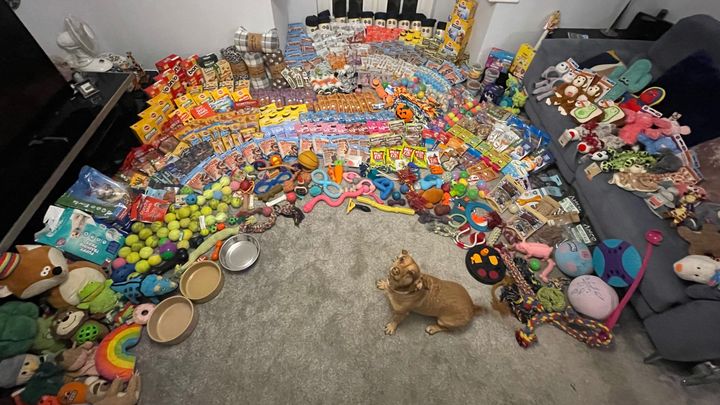 Help us spoil local animal rescues! campaign photo, 1 of 3