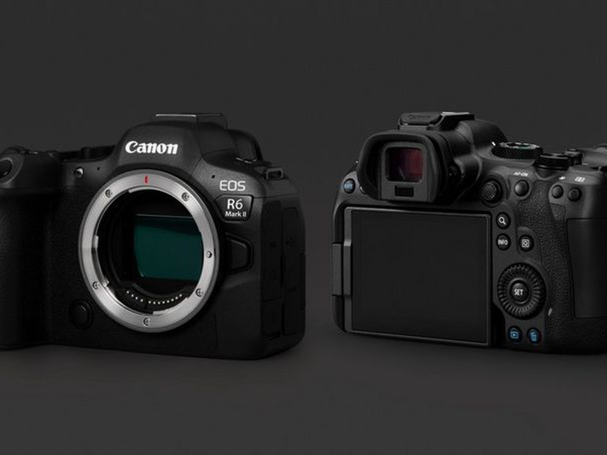 Support MJRS Photography's Dream Camera Fund campaign photo, 1 of 6