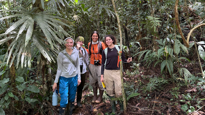 Foto della campagna Help Gabby Martinez Study Owl Monkeys, 1 di 3