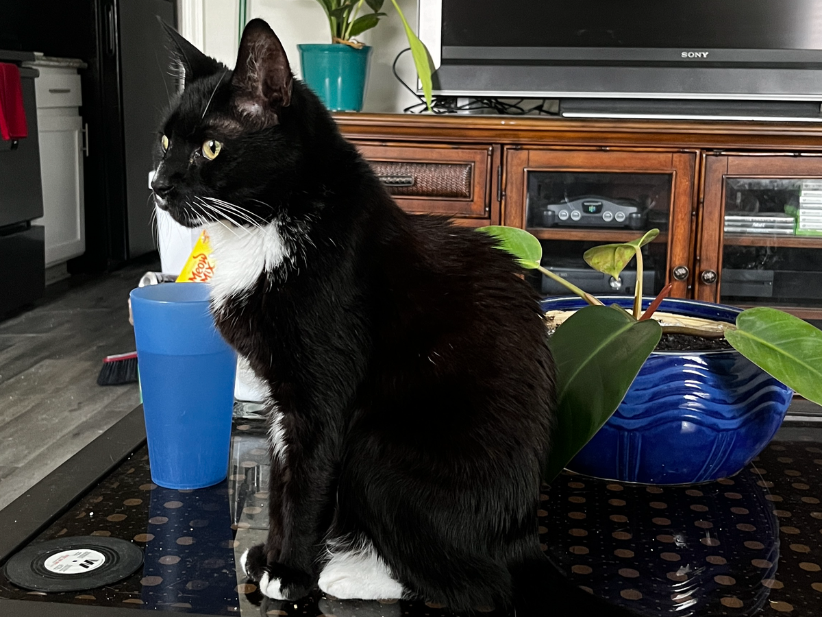 Urgent: First Rent Payment Needed campaign photo, 1 of 4