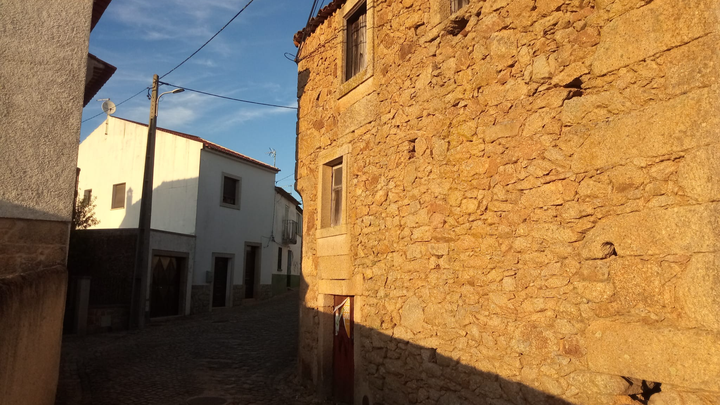Foto principale della raccolta fondi
