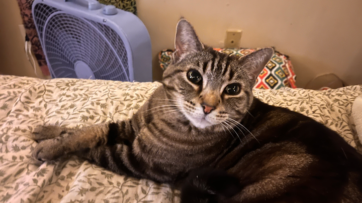 Carti's Surgery: Keep Her on All Fours campaign photo, 1 of 8