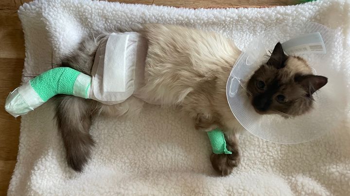 Main fundraiser photo