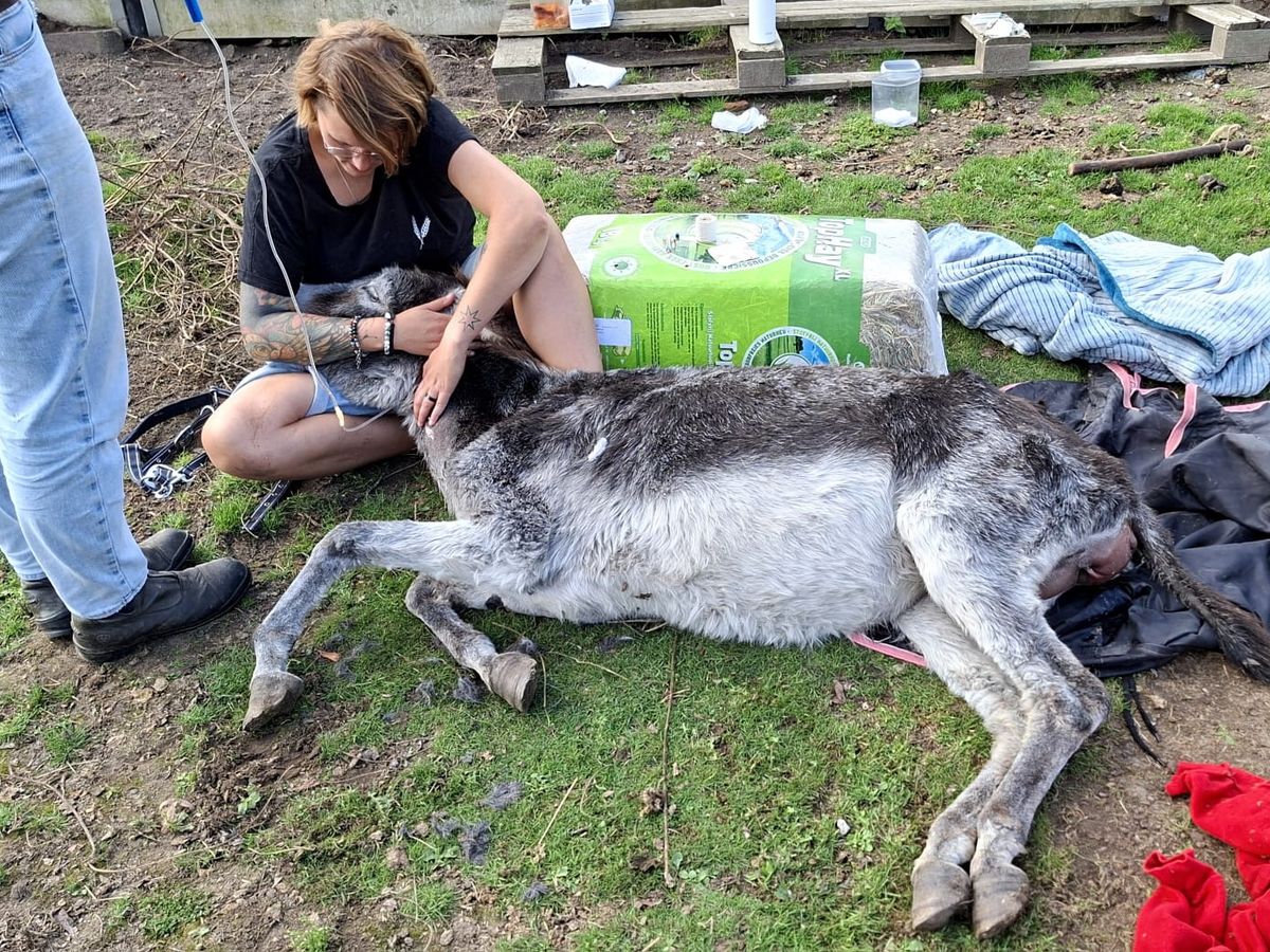 Hoofdafbeelding van de inzamelingsactie