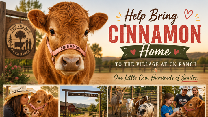 Help Bring Cinnamon Home to CK Ranch campaign photo, 1 of 8