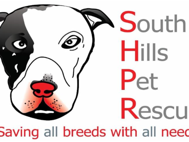 South park animal sales rescue