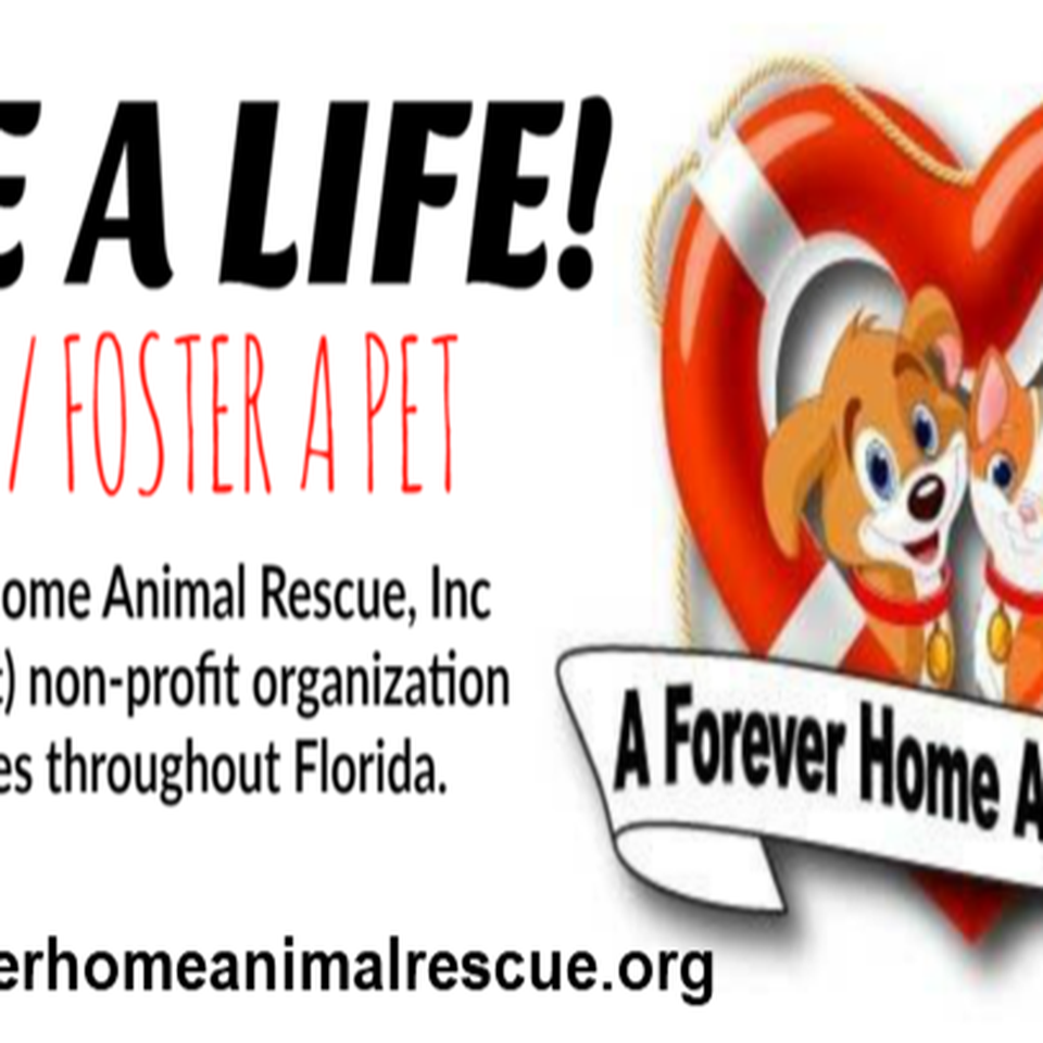 Home  ARE Animal Rescue