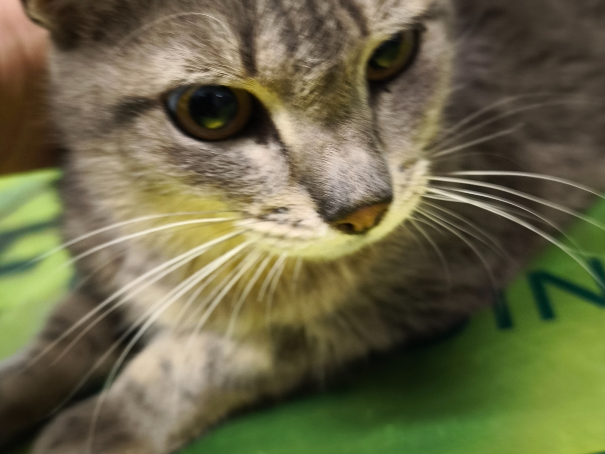 Fundraiser’s main image