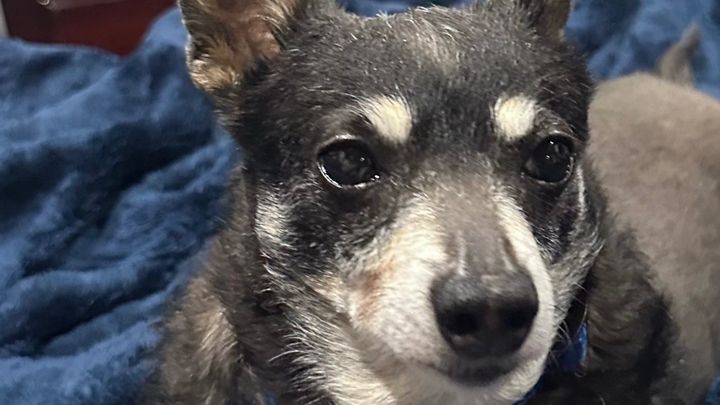 Justice 4 Joey: Legal Action for His Death campaign photo, 1 of 8