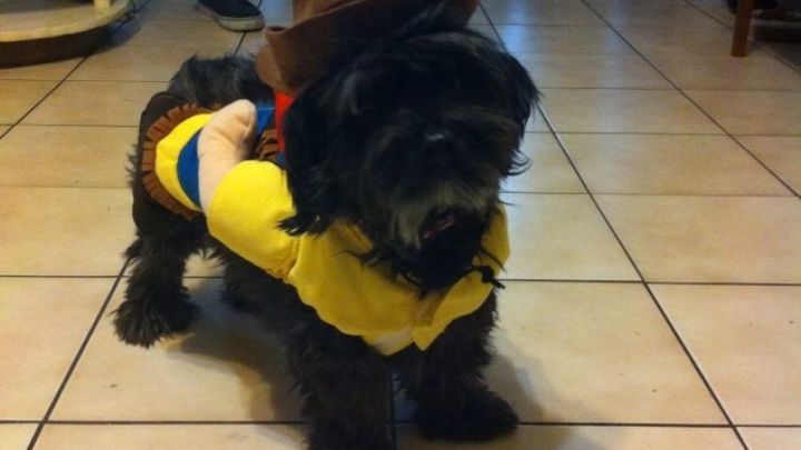 Main fundraiser photo