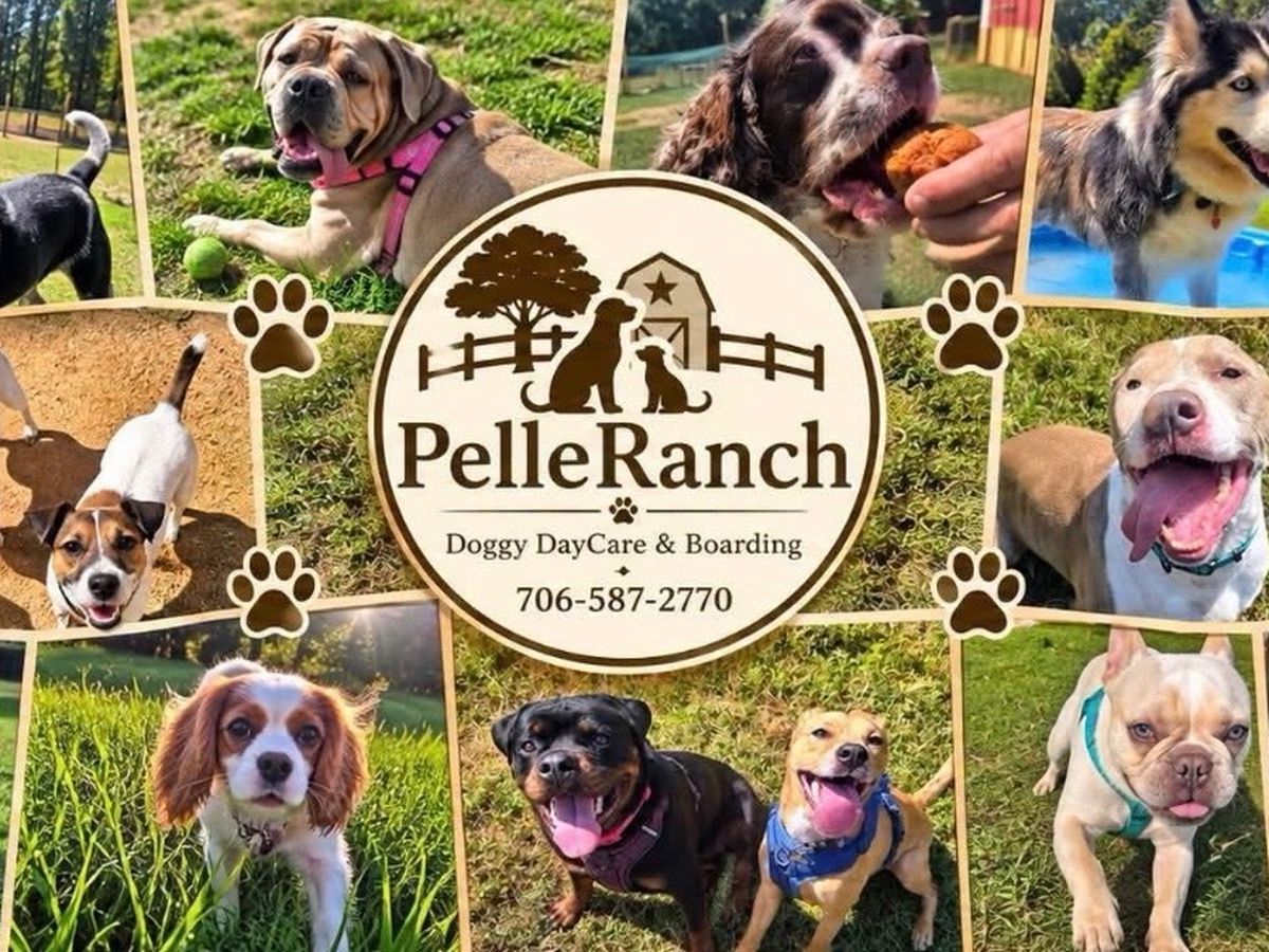 Fundraiser’s main image