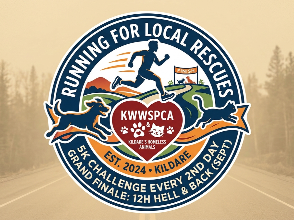 Fundraiser’s main image