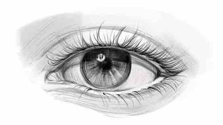 Eyes on Hope: Help Preserve Beau & Boyd's Eyesight campaign photo, 1 of 3