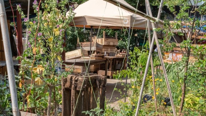 Help the Garden of Earthly Delights recover from a fire campaign photo, 1 of 6