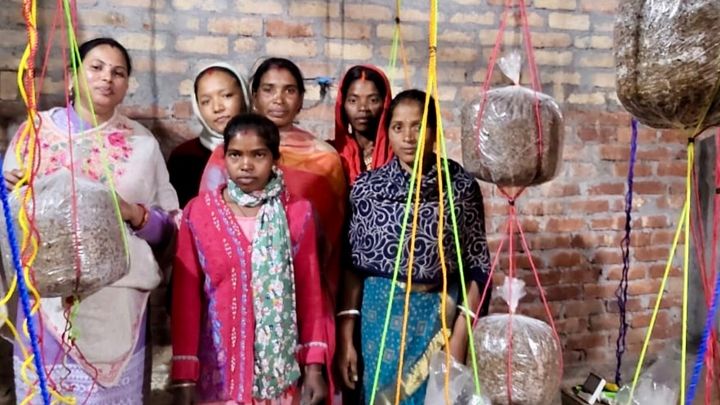 Empower Jharkhand Women with Mushroom Farming campaign photo, 1 of 8