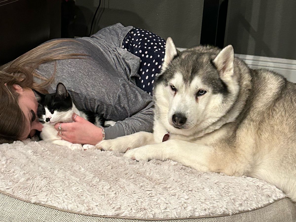Fundraiser by Sarah Ashbrook : Help Luna be able to walk again