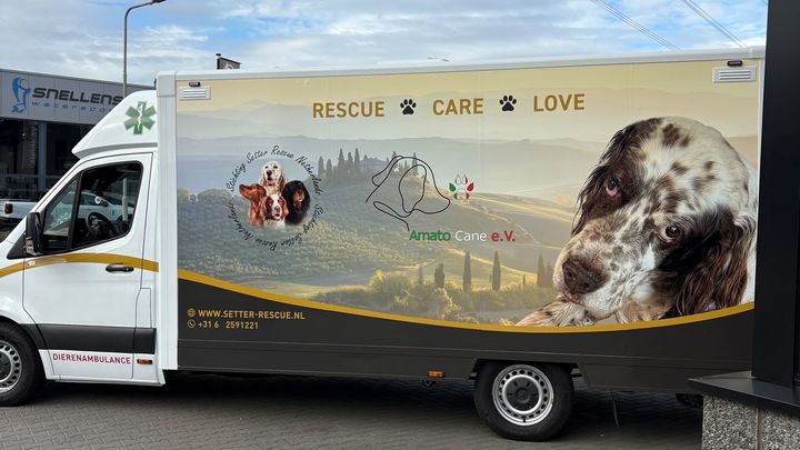 Noodhulp om de dierenambulance-transport veilig te maken campaign photo, 1 of 7
