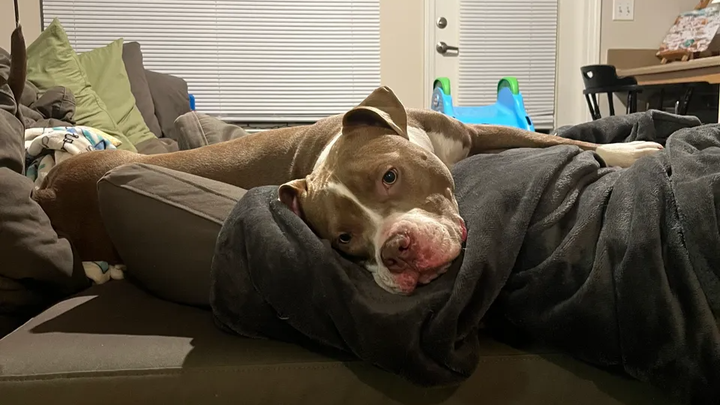 Restore Nipsey's Joy: Fund Her ACL Surgery campaign photo, 1 of 8