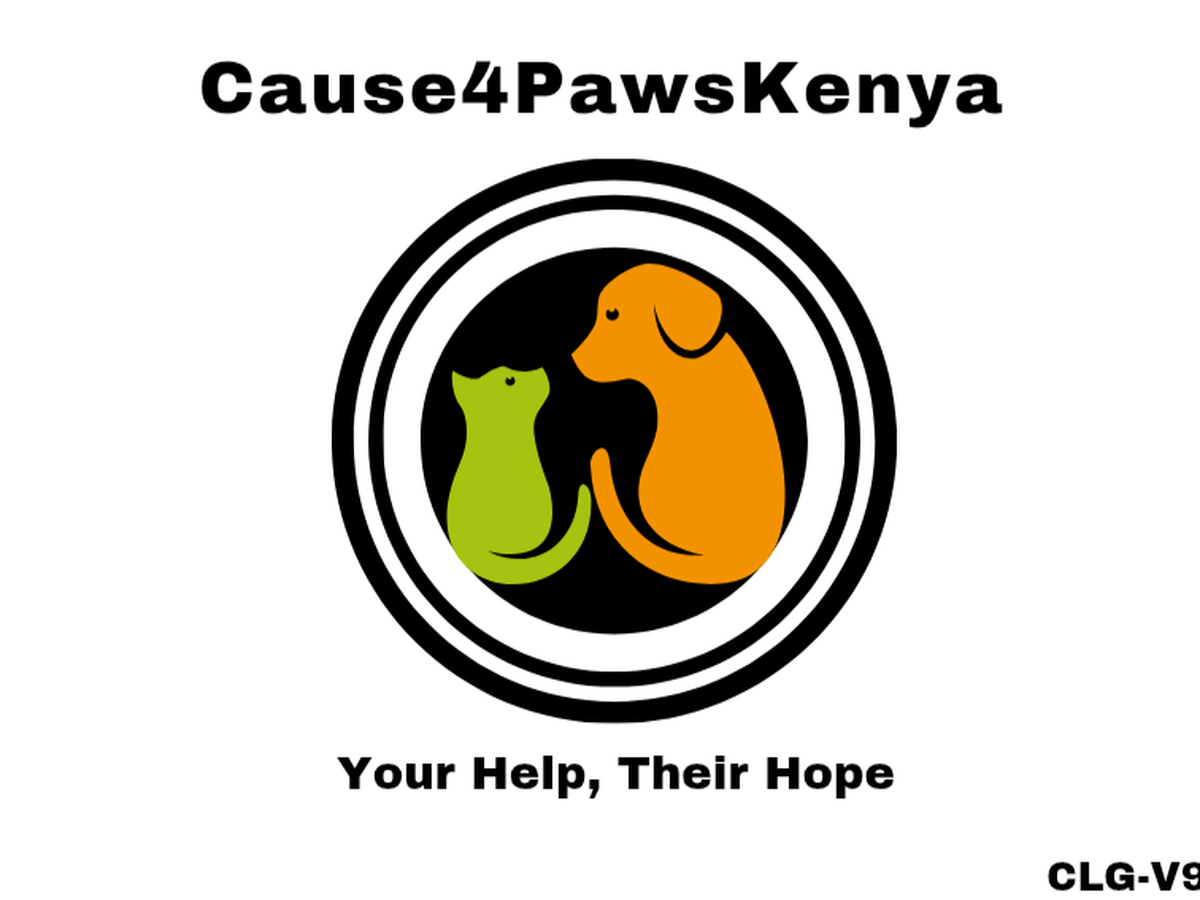 Fundraiser’s main image