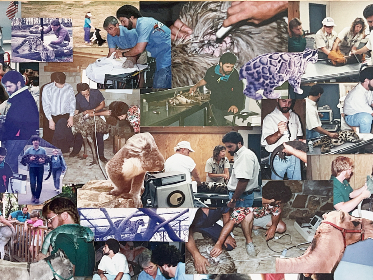Fundraiser’s main image