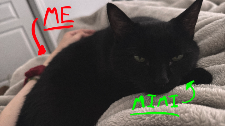 Donate to Keep Annie and Mimi Safe campaign photo, 1 of 8