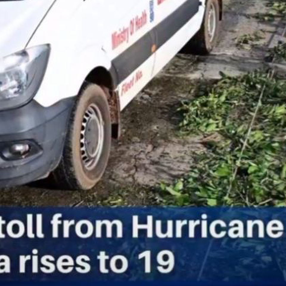 Support Jamaica's Families in Crisis
