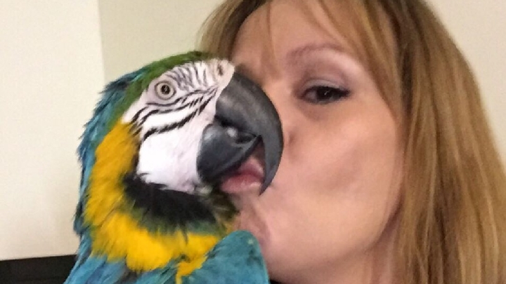 Help Diane Save Kamokie: Emergency Vet Care campaign photo, 1 of 8